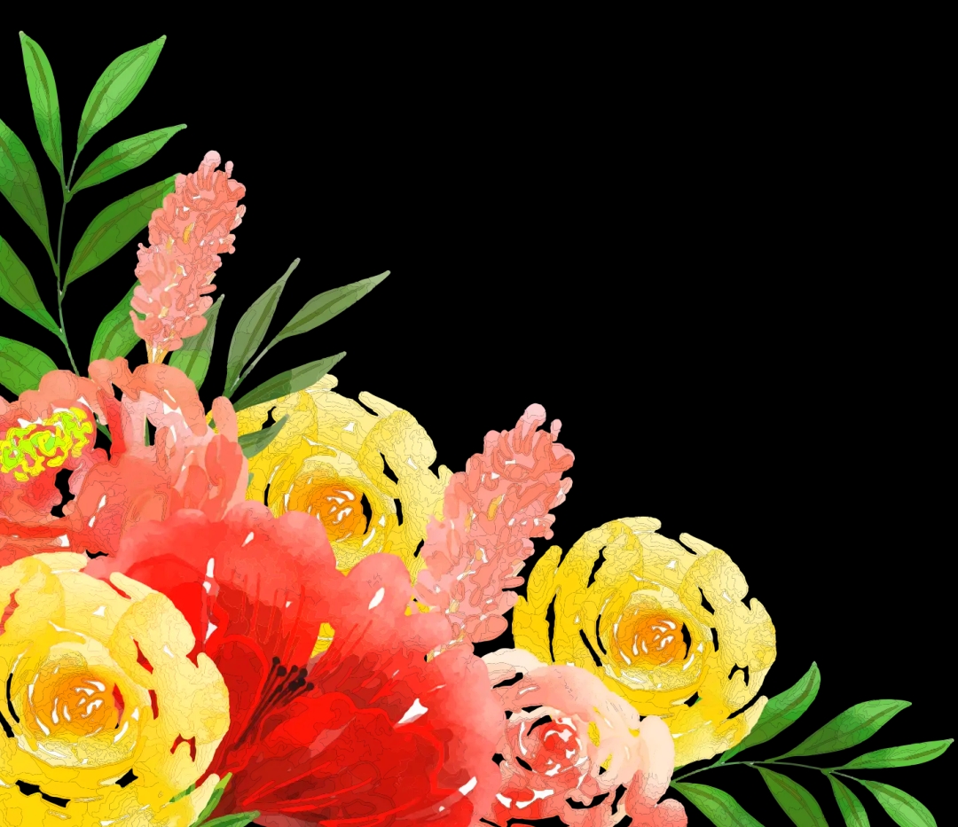 Bottom Border