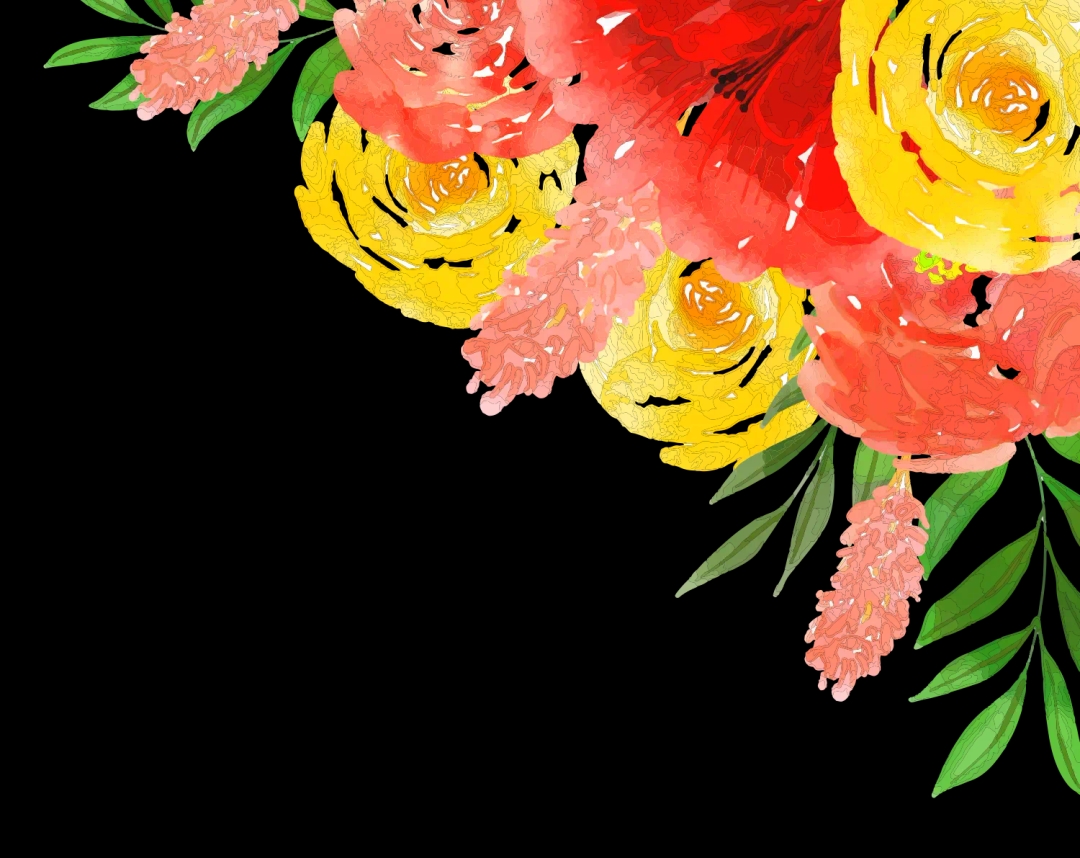 Top Border