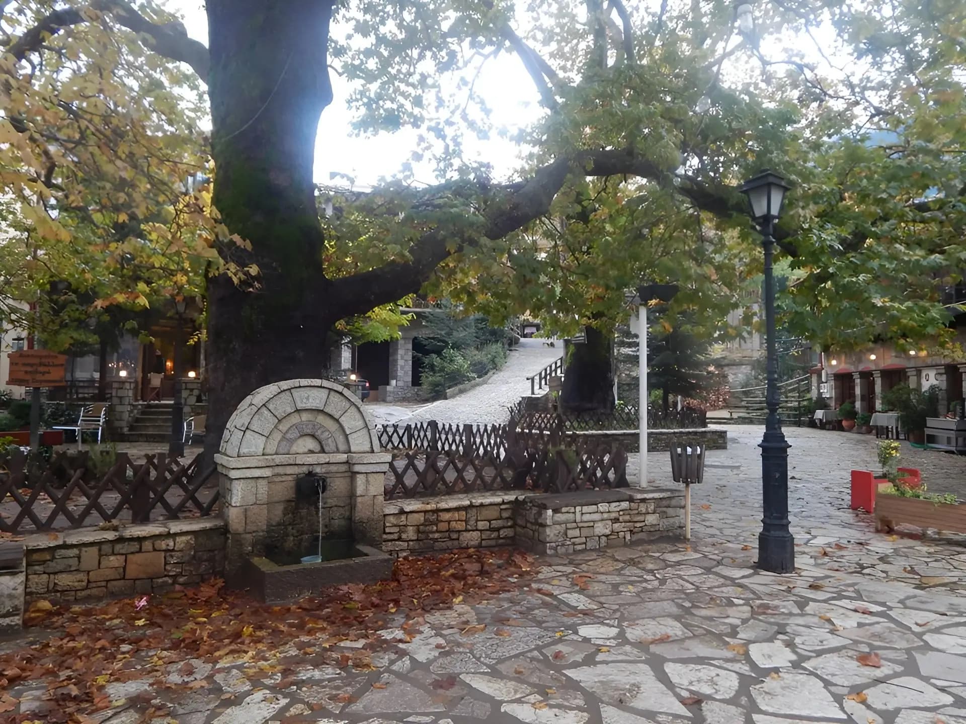 φωτογραφία