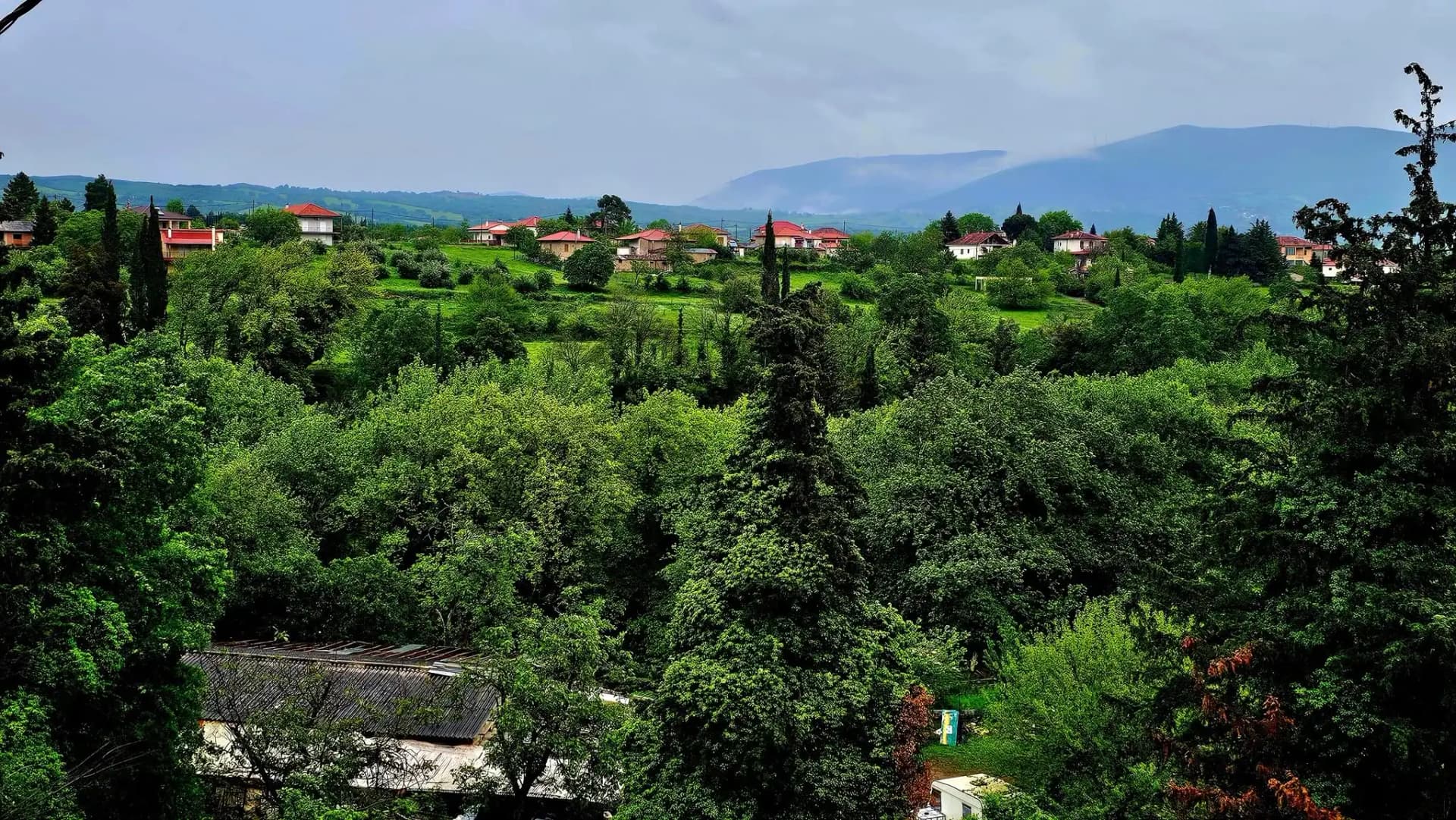 φωτογραφία